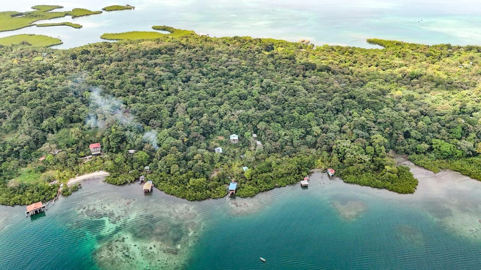 Roam Yoga & Wellness Lodge Bocas Town Kültér fotó